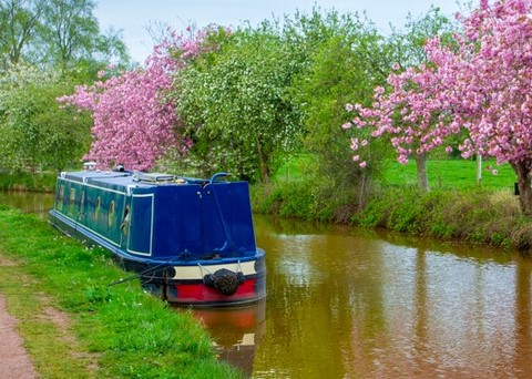 Shared narrow boat Solace